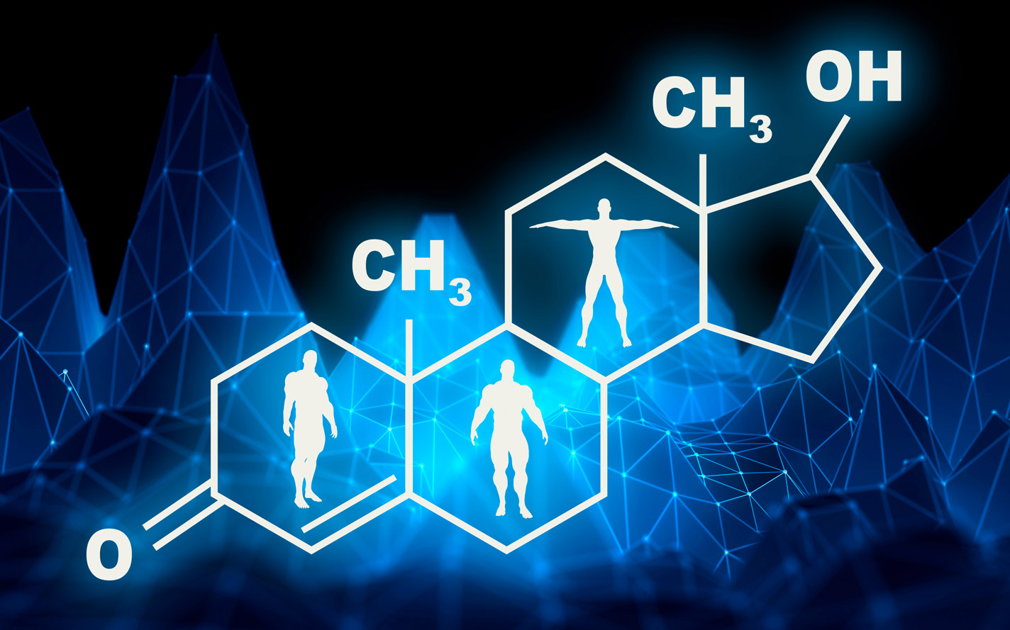 Graphic showing the chemical makeup of the hormone testosterone.